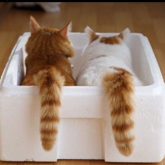 🌿I Pack With Care & Bubble Wrap🌿 - Picture 6 of 16